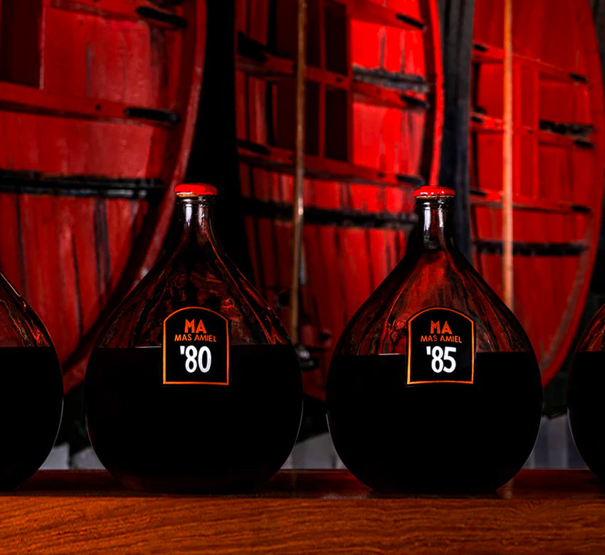 Dégustation des Trésors de la Cave