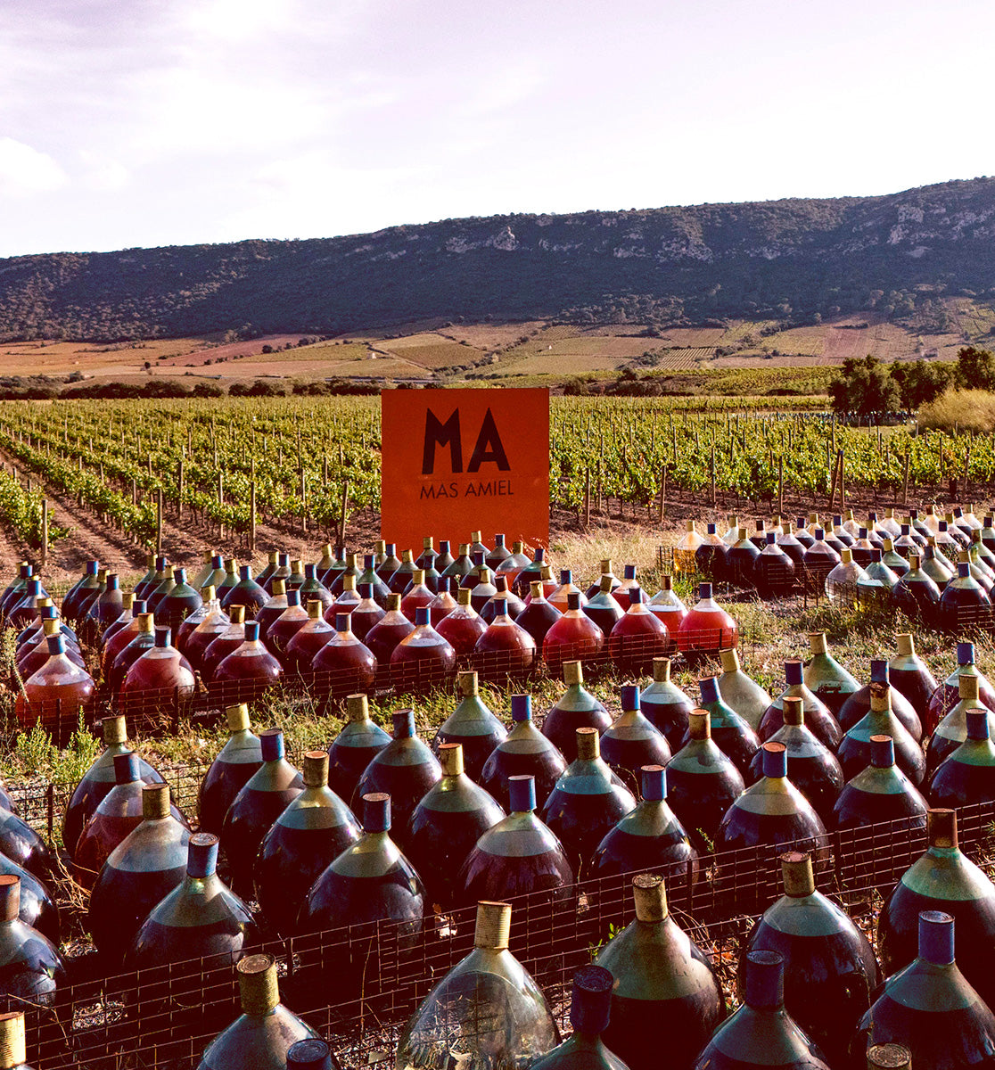 20 Ans d'âge | Vin Oxydatif Rouge | AOC Maury